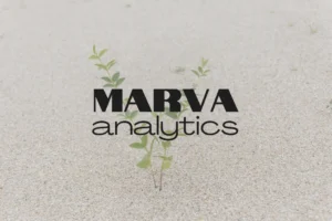 Marva Analytics: Cum am rescris regulile raportării pentru a maximiza profitul tău