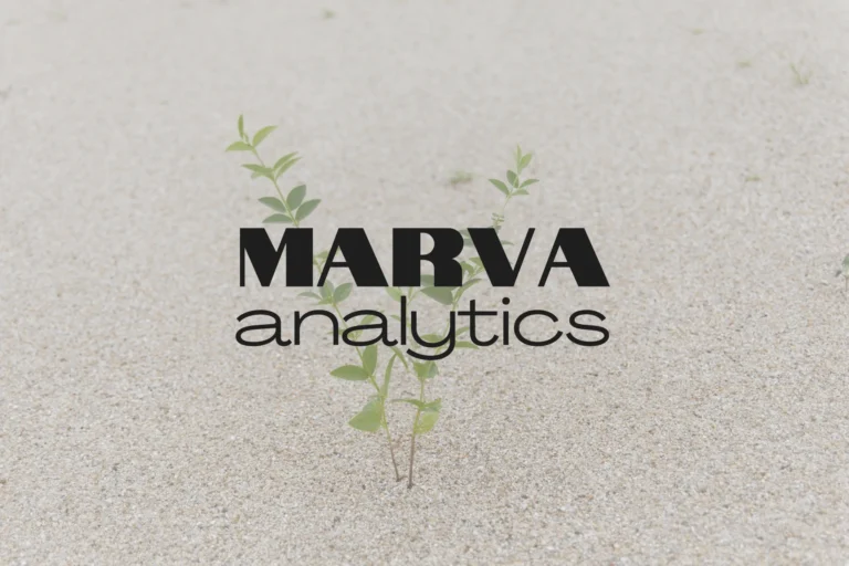Marva Analytics: Cum am rescris regulile raportării pentru a maximiza profitul tău